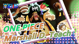 ONE PIECE|Marshall D. Teach-Do the most real pirates!