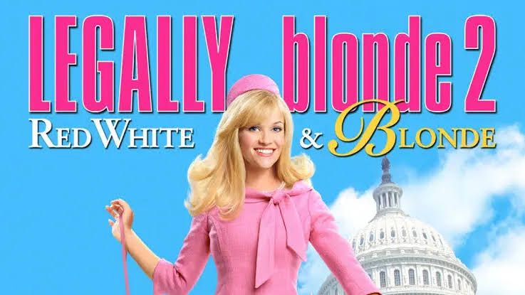 White.Chicks.UNRATED.2004. - BiliBili