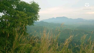 Beautiful view at perlis, malaysia