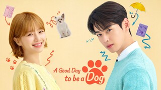 EP. 9 | A Good Day to Be a Dog (2023) English Sub