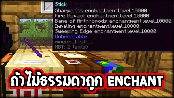 จะเป็นอย่างไร!? ..ถ้า【ไม้ธรรมดา】Enchant โหดมาก! | WzMinecraft