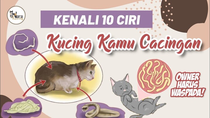 TANDA ATAU CIRI KUCING CACINGAN