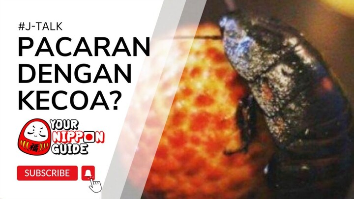 #PART 2 🇯🇵 PRIA JEPANG INI PACARAN DENGAN KECOAK?