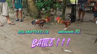 OUR 1X WINNER ASILMUFFXKELSO VS UNKNOWN BL NG KAPITBAHAY   SPAR!!