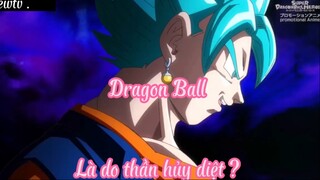 Dragon Ball 45 Là do thần hủy diệt ?