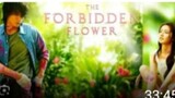 THE FORBIDDEN FLOWER Episode 8 Tagalog Dubbed