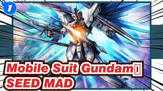 Mobile Suit Gundam|[SEED/MAD]Here Comes the Man Who Symbolizes Freedom!_1