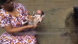 नाले में पड़ी बच्ची को देखकर गली के कुत्ते ने जो किया 😲 - Animals Loyalty Moments