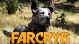 Far Cry 6 - Finding Boomer (Dog from Far Cry 5)