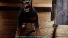 Renegade Imortal Eps 47 Sub Indo