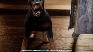 Renegade Imortal Eps 47 Sub Indo