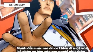 Top 10 Thanh Niên Tàn Tật Bá Đạo Trong One Piece #11 1