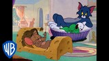 Tom et Jerry en Français | Classiques du dessin animé 116 | WB Kids