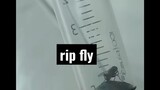 rip fly