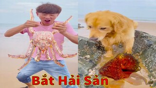 Thú Cưng TV | Gia Đình Gâu Đần #33 | Chó Golden thông minh vui nhộn | Pets funny cute dog