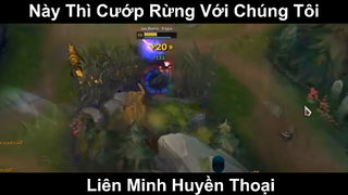 Này Thì Cướp Rừng Với Chúng Tôi