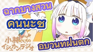 [โคบายาชิซังกับเมดมังกร] ฉากบางส่วน |คันนะชอบวันที่ฝนตก