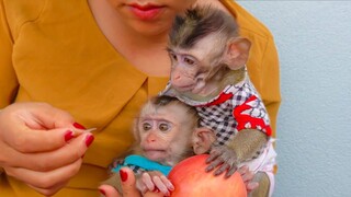 Adorable Toto & Yaya really wondering why Mom take this  sticker out of the apple before eating