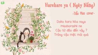 Harehare Ya ( Ngày nắng ) - Tiểu Mao cover