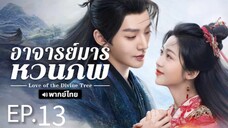 ตอนที่ 13