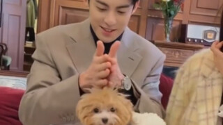 Wang Hedi styles Shen Yujie's dog