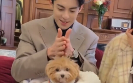 Wang Hedi styles Shen Yujie's dog