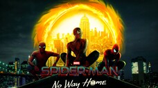 Spider-Man: No Way Home (2021) movie Hindi Dubbed