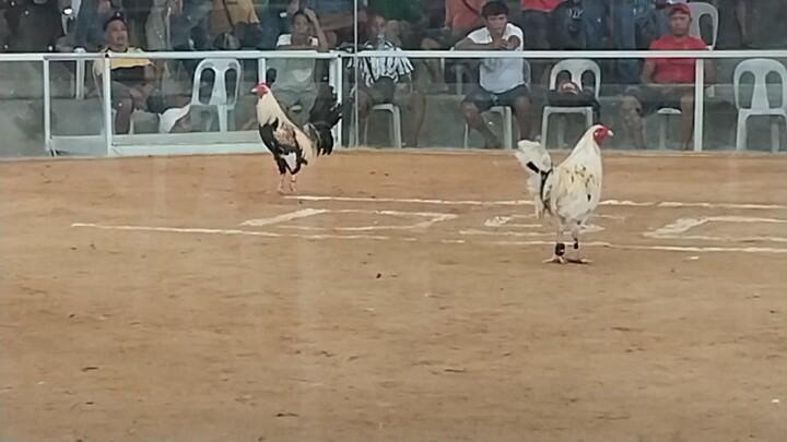 talisayin namin talo..d naka porma sa kalaban..