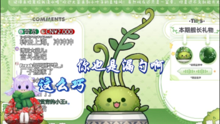 卡姐教导小叶子NB生存法则，随后开始漏了起来【卡缇娅I河黎】