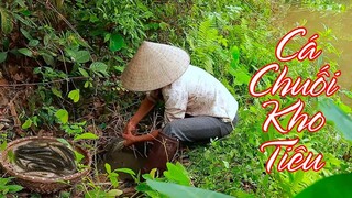 Bẫy cá và món cá chuối kho tiêu hương vị quê nhà ( Braised Snakehead With Pepper ) I Ẩm Thực Mẹ Làm