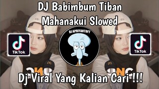 DJ BABIMBUM TIBAN MAHANAKUI SLOWED VIRAL TIK TOK TERBARU 2024 !