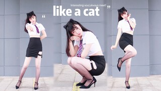 【MIKO喵酱】猫步轻俏❤Like a cat~喵！【万粉作兑现】