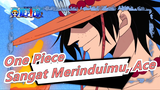 [One Piece] Luffy: Aku Sangat Merinduimu, Ace. 9 Tahun Setelah Perang Puncak
