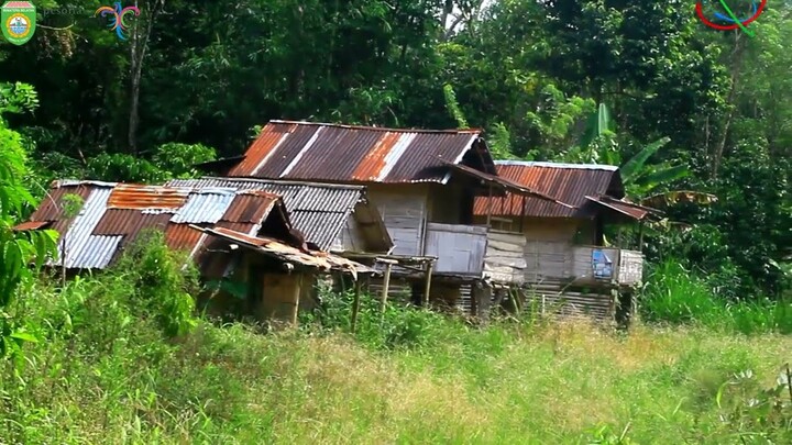 2 TEMBANG LAWAS 1978 - YUNANI - GITAR TUNGGAL BATANGHARI SEMBILAN SUMATERA SELATAN    DAERAH OKU