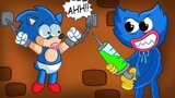 Baby Sonic Captured By Huggy! - VERY SAD STORY