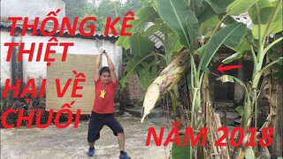 THỐNG KÊ SƠ BỘ SỐ LƯỢNG CHUỐI CỦA HÀNG XÓM BỊ ĐỐN HẠ NĂM 2018