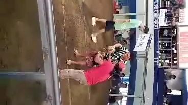 ylghatch