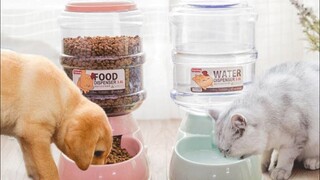 Automatic Cat/ Dog Feeder | Unboxing #Lazada