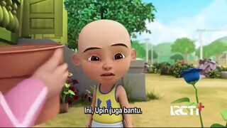 Upin & Ipin Musim 18 - Anak Pokok (Teaser) - Upin Ipin Terbaru 2024