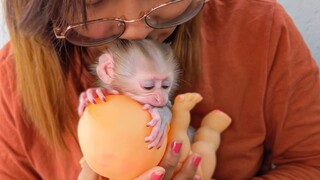 Deeply Love & Care!! A sweet kiss from Mom after wake up, Tiny Luca happily playing with Mom