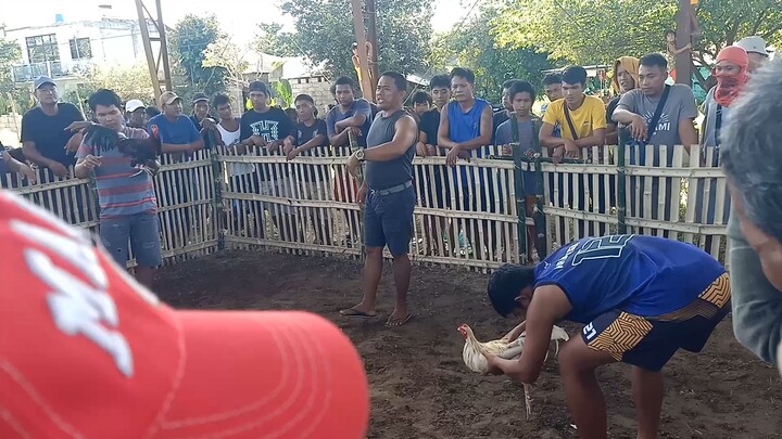 talo nanaman si puti ko, huhu, panay  napag uunahan,