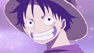 Kita semua sangat yakin bahwa Luffy akan menjadi One Piece, begitu pula seluruh krunya!