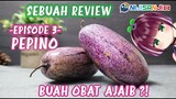 〔SEBUAH REVIEW #3〕BUAH PEPINO OBAT AJAIB?!【NIJISANJI ID | NAGISA ARCINIA】