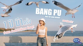 นกมาแล้ว! แชร์เทคนิคถ่ายรูปนกให้สวย ที่บางปู | FEEDING MY PET SEAGULL PORK LARD! HAHA! | ENG SUB