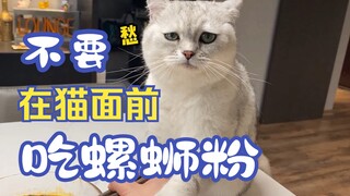 千万不要在猫面前吃螺蛳粉