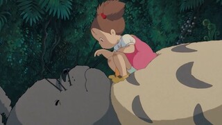 Those weird and cute animals in Hayao Miyazaki's animation