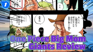 Story Of Big Mom And The Giants | One Piece_1