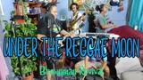 Packasz - Under the Reggae Moon (Brownman Revival cover)