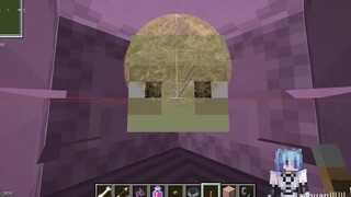 [Minecraft] I crashed the server with two shulkers