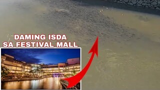 FESTIVAL MALL DAMING TILAPYA | #papaRyantilapya